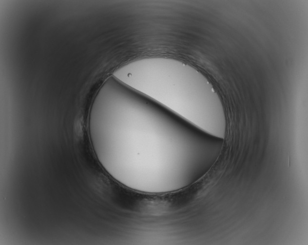 X0000089970644200706291105