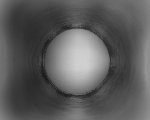 X0000089970648200706291105