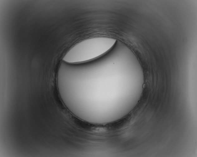 X0000089970649200706291105