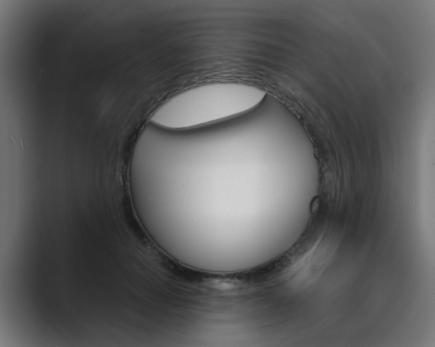 X0000089970654200706291105