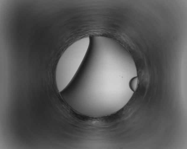 X0000089970655200706291105