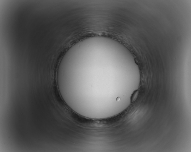 X0000089970656200706291105