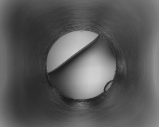 X0000089970657200706291105