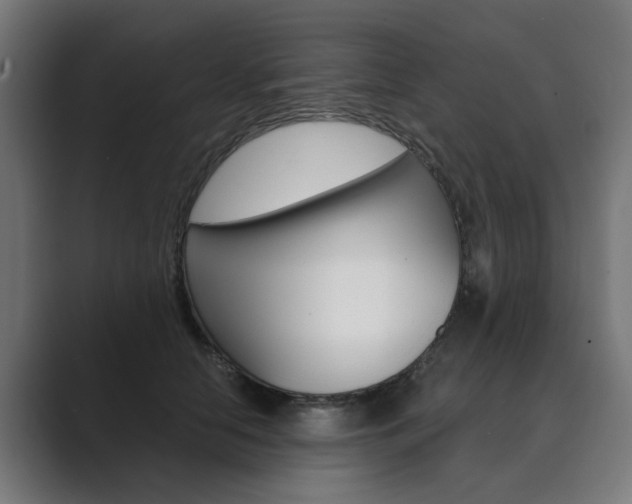 X0000089970658200706291105