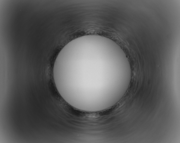 X0000089970659200706291105