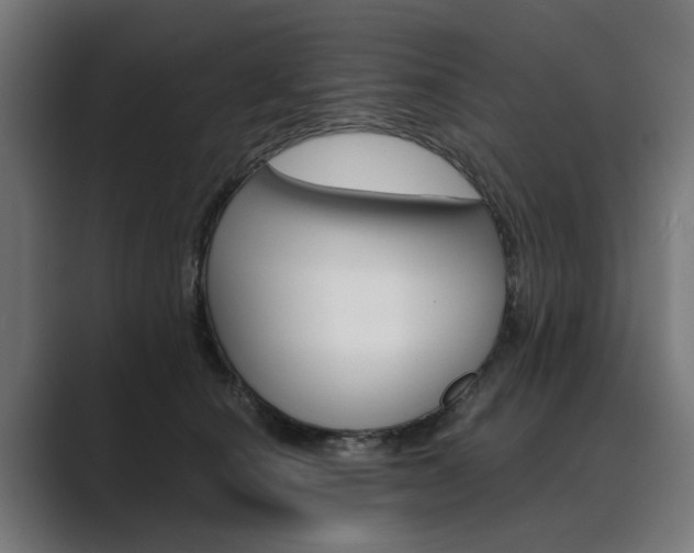 X0000089970660200706291105
