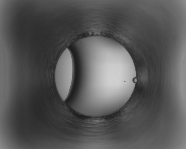 X0000089970661200706291105