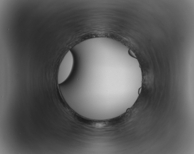 X0000089970662200706291105