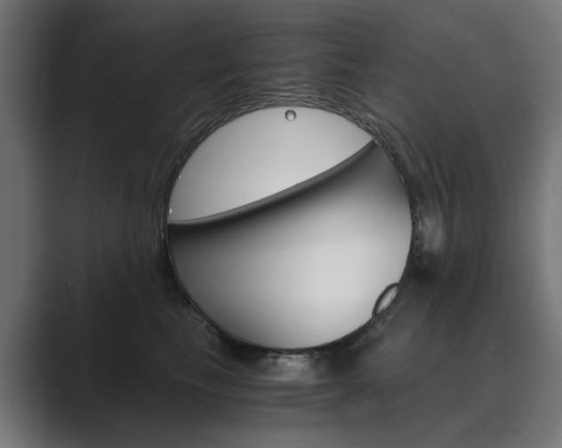 X0000089970665200706291105