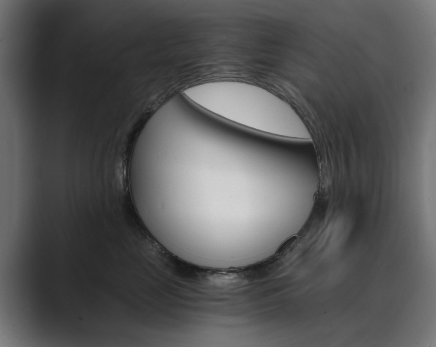 X0000089970669200706291105