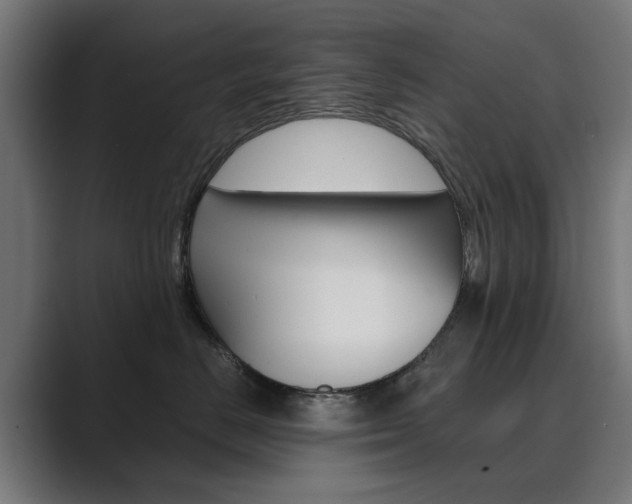 X0000089970670200706291105