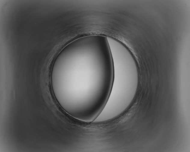 X0000089970673200706291105