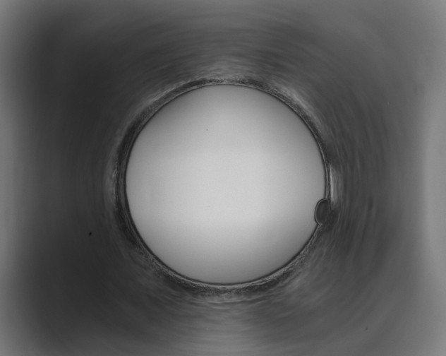 X0000089970675200706291105