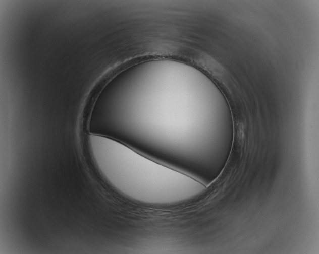 X0000089970676200706291105