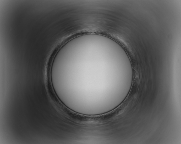 X0000089970678200706291105