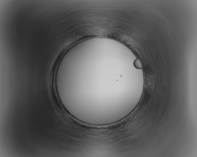 X0000089970679200706291105