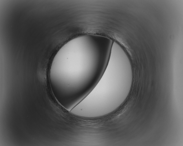 X0000089970681200706291105