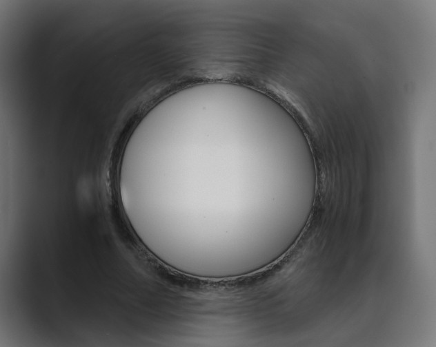 X0000089970682200706291105