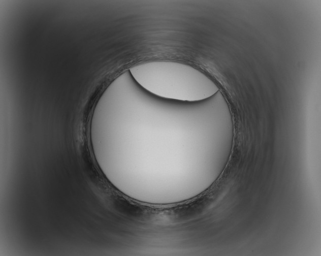 X0000089970683200706291105