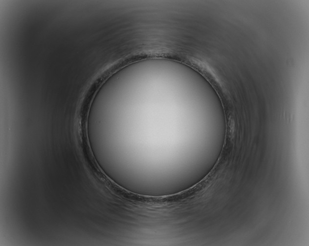 X0000089970684200706291105