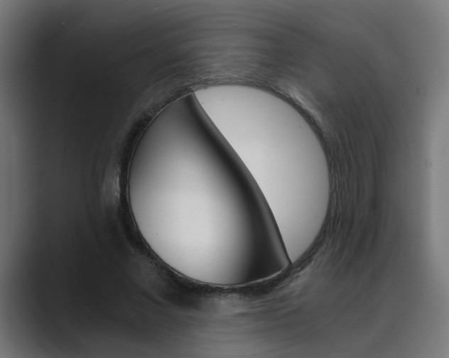 X0000089970685200706291105