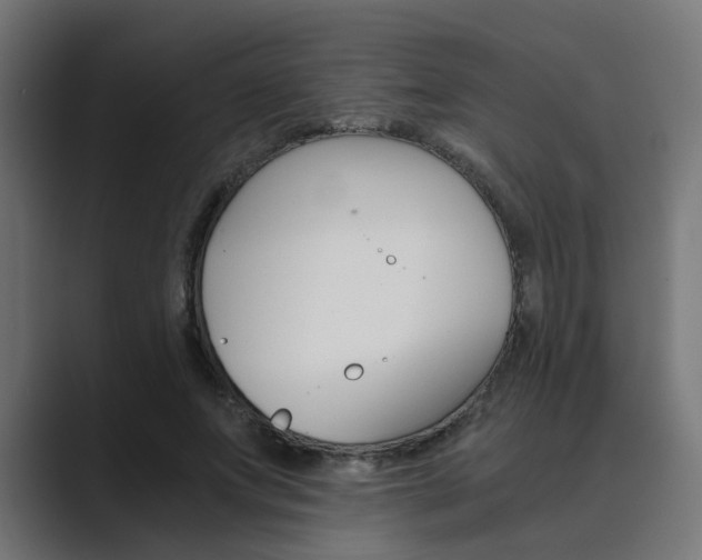 X0000089970687200706291105