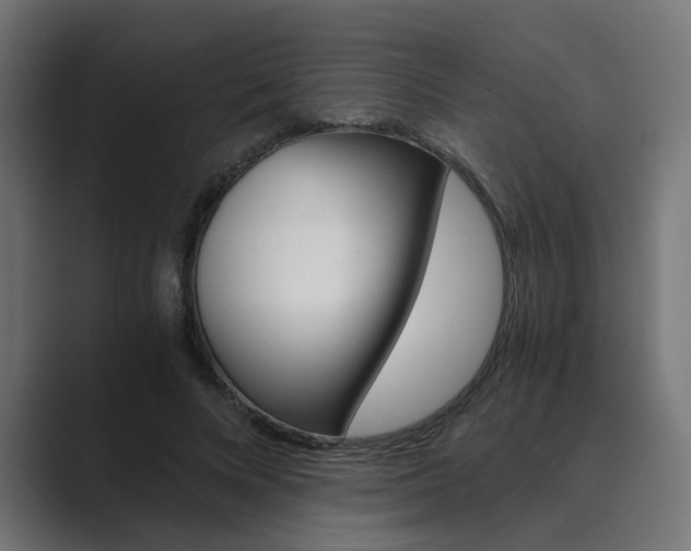 X0000089970688200706291105