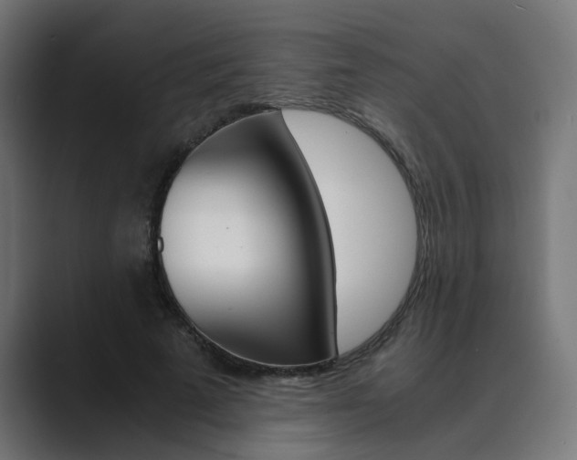 X0000089970689200706291105