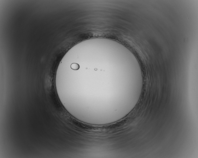 X0000089970691200706291105