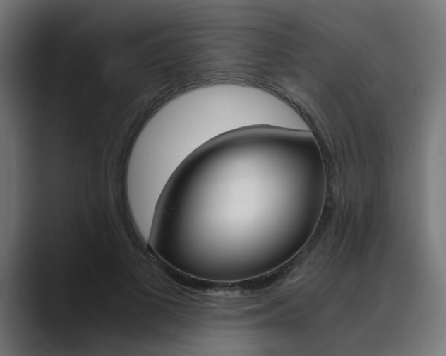 X0000089970693200706291105