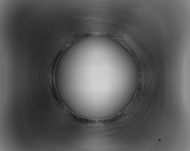 X0000089970696200706291104