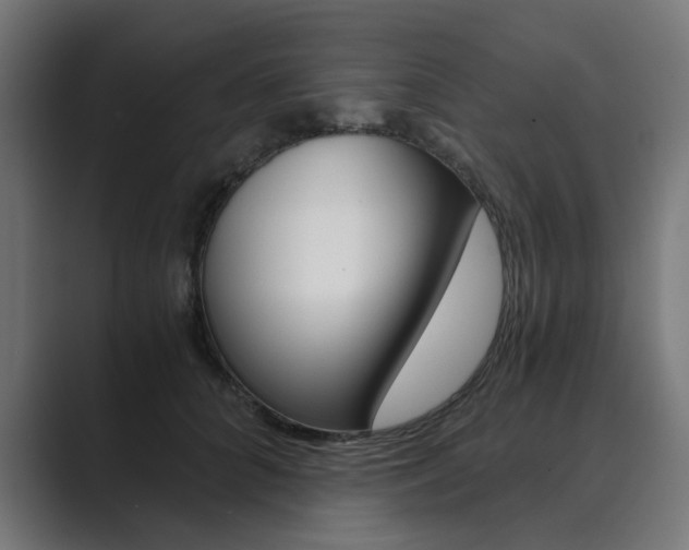 X0000089970704200706291104