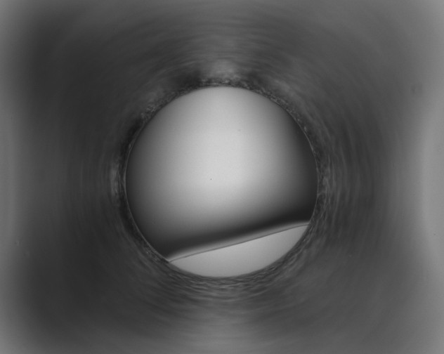 X0000089970708200706291104