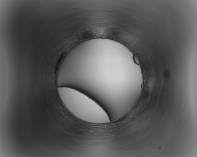 X0000089970710200706291104