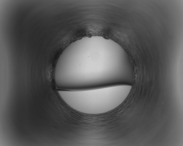 X0000089970712200706291104