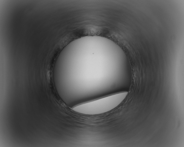 X0000089970716200706291104
