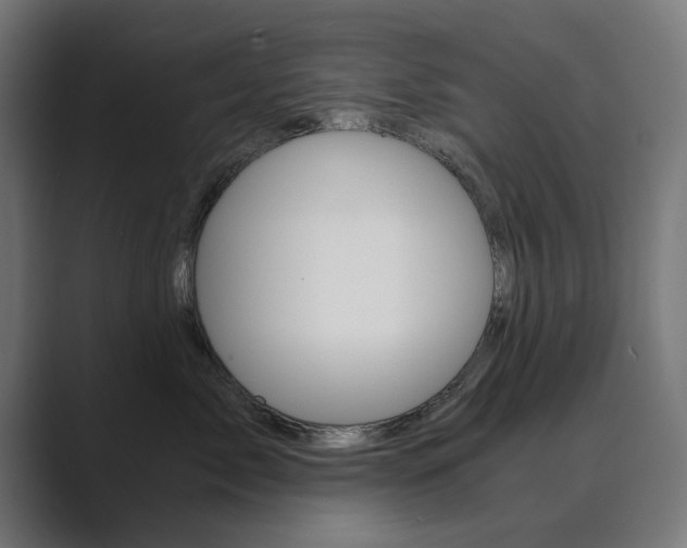 X0000089970717200706291104