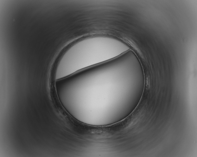 X0000089970724200706291104