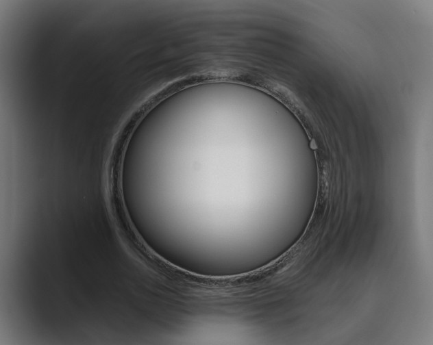 X0000089970726200706291104