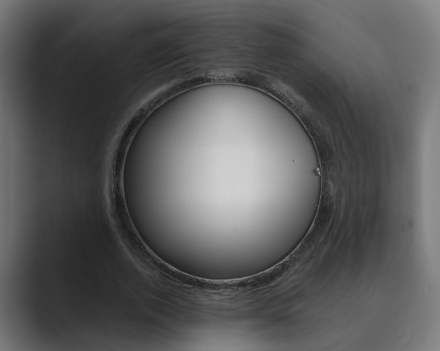 X0000089970728200706291104