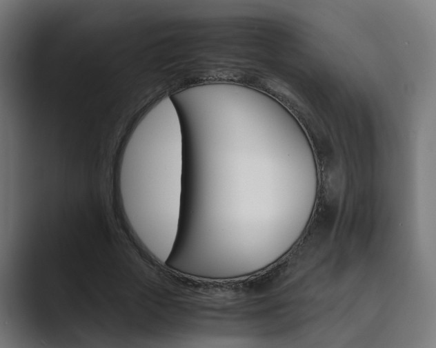 X0000089970729200706291104
