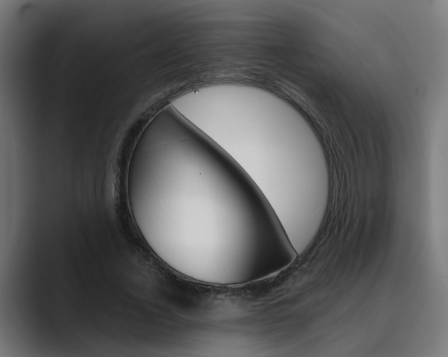 X0000089970732200706291104