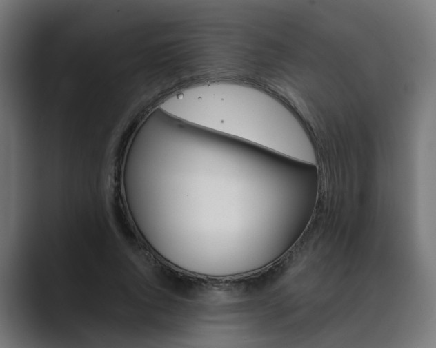 X0000089970736200706291104