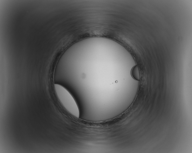 X0000089970738200706291104