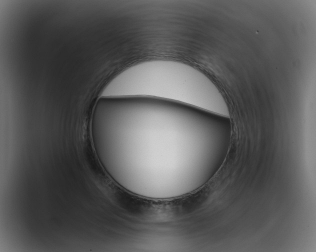 X0000089970744200706291104
