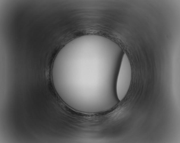 X0000089970745200706291104