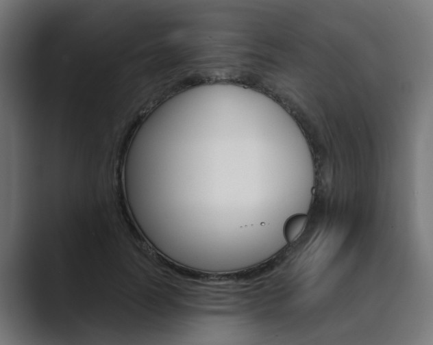 X0000089970746200706291104