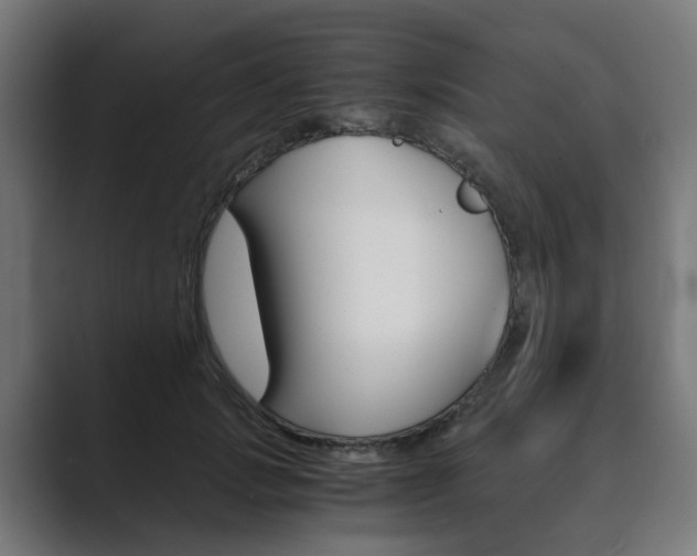 X0000089970749200706291104