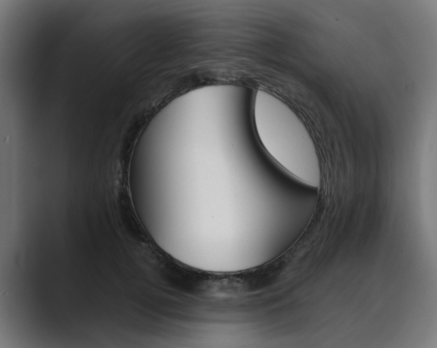 X0000089970752200706291104