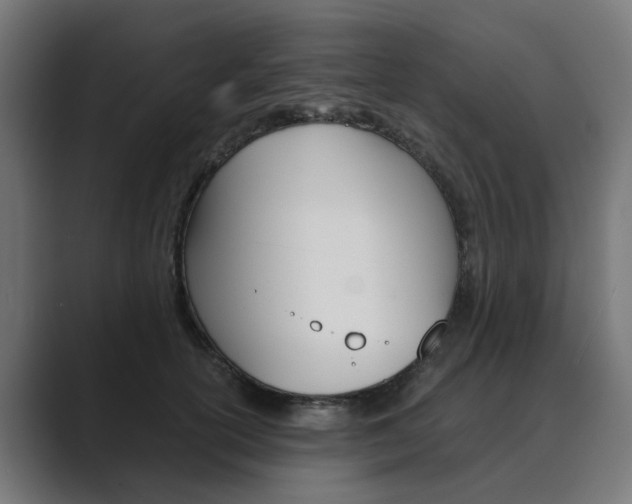 X0000089970754200706291104